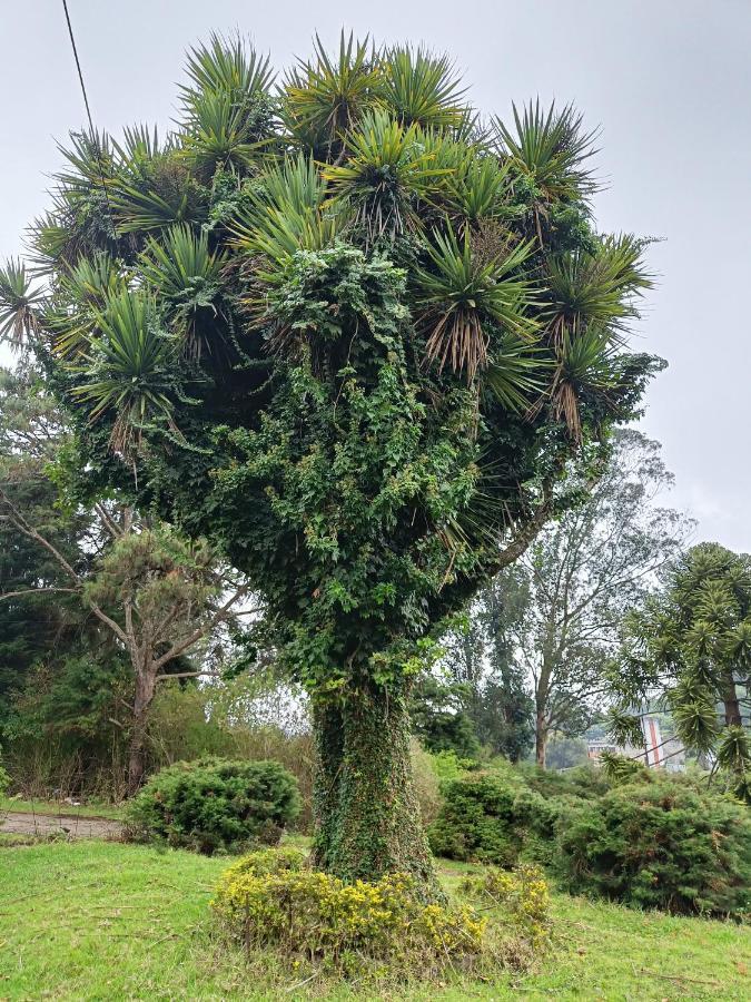 Natures Retreat Hotels And Resorts Ooty Eksteriør billede